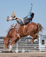 Broncs