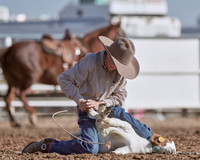 Goat Tying