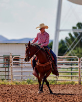 Ranch Horse