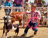 Goat Roping