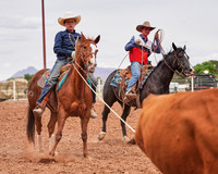 Youth/Collegiate Rodeo & Clinics