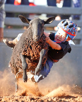 Mutton Busting