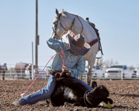 Tie-Down Roping