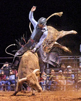 Where They Buck Sept 2023