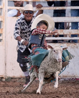 Mutton Bustin'