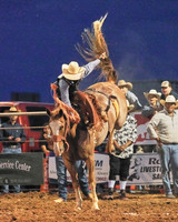 Broncs