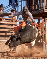 February 2024 Bullriding