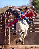 February 2025 Bullriding