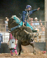 October 2024 Bullriding