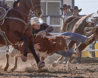 Steer Wrestling