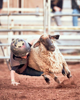 Mutton Busting