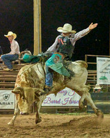 July 2024 Bullriding