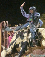 September 2024 Bullriding