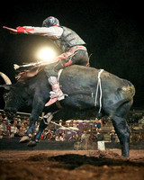 Friday Bulls