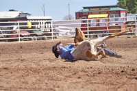 Chute Dogging JH Round 3