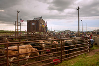 July 30th 2022 Bull Riding