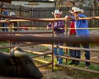 July 2025 Bull Riding